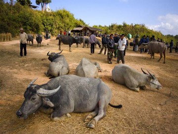 Kyainge Tong Tour